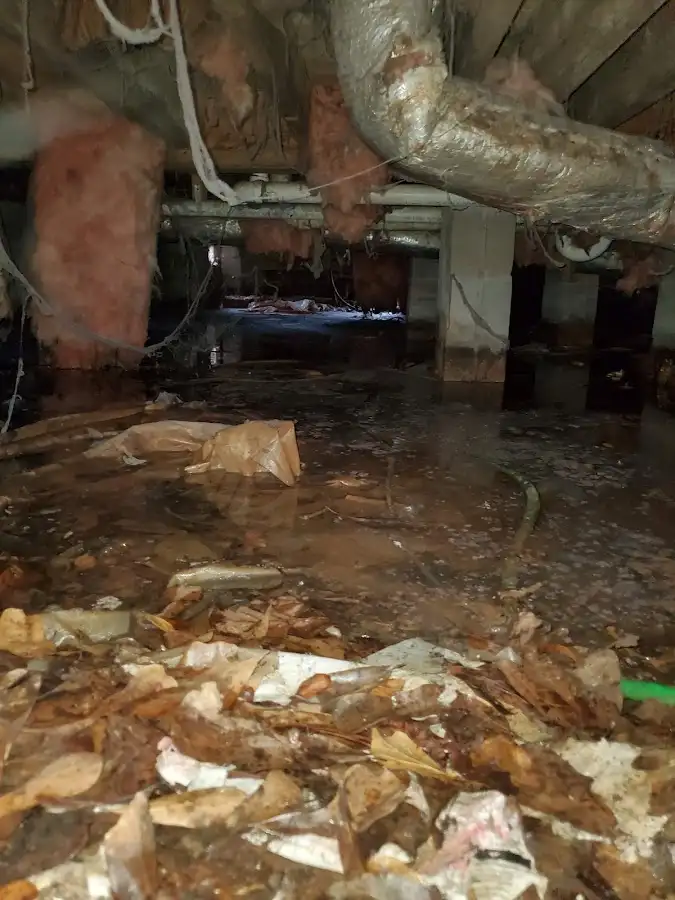 Crawl space flood assessment for Leak Detection & Repair in Silverton