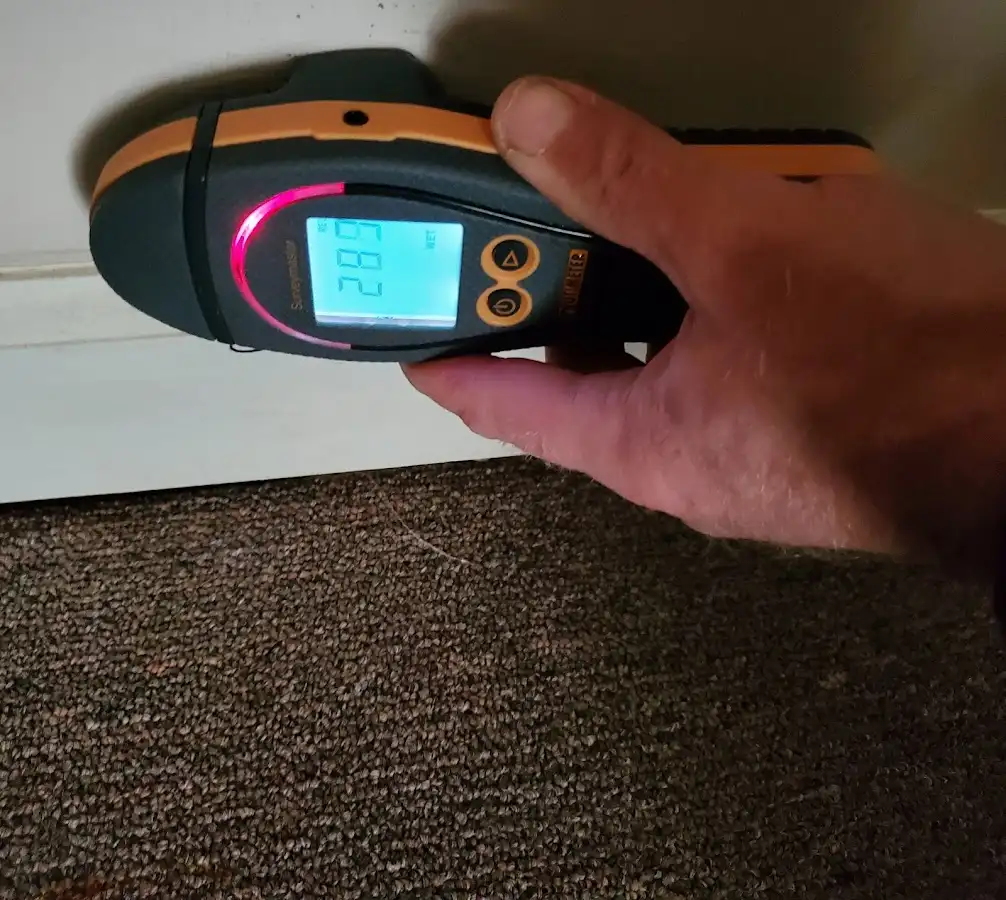 Moisture detection at baseboard during Mold Inspection & Testing in Silverton